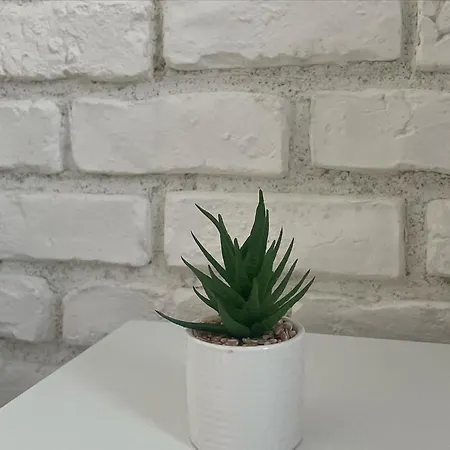 Apartment Joanna's *